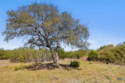 207 N Calvin Barrett, Blanco, TX 78606 - Photo 7