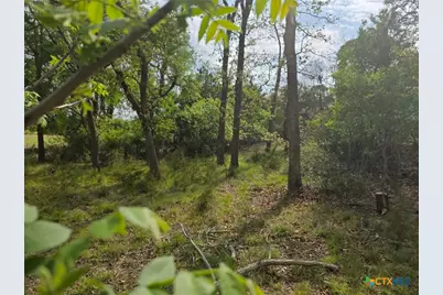 14450 Fm 2843, Salado, TX 76571 - Photo 17