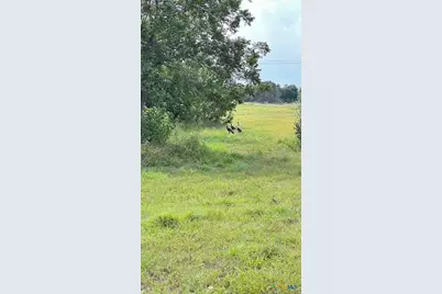 14450 Fm 2843, Salado, TX 76571 - Photo 9