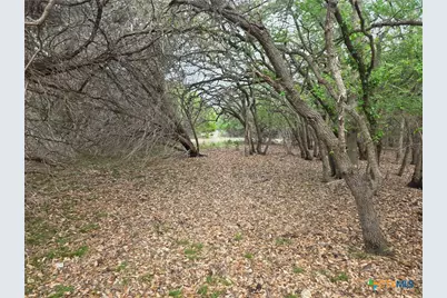 14450 Fm 2843, Salado, TX 76571 - Photo 21