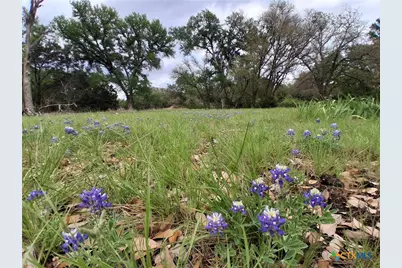 14450 Fm 2843, Salado, TX 76571 - Photo 3