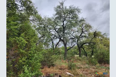 3385 Fulton Ranch Road, Wimberley, TX 78676 - Photo 5