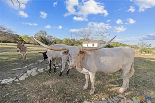 375 Branch Creek Trail, Liberty Hill, TX 78642 - Photo 37