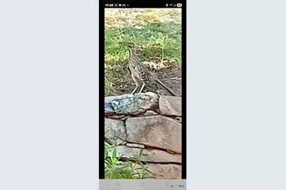 1332 Johnson Road, Canyon Lake, TX 78133 - Photo 41