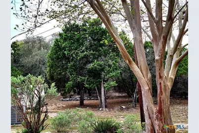 1332 Johnson Road, Canyon Lake, TX 78133 - Photo 27