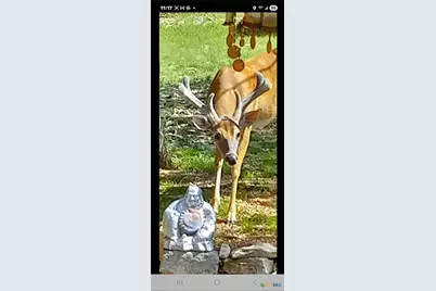 1332 Johnson Road, Canyon Lake, TX 78133 - Photo 37