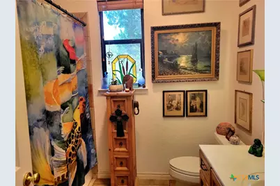 1332 Johnson Road, Canyon Lake, TX 78133 - Photo 19