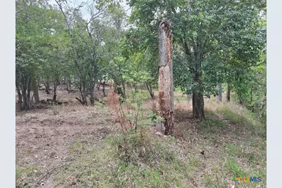 474 N Guenther Avenue, New Braunfels, TX 78130 - Photo 15