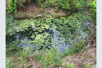 474 N Guenther Avenue, New Braunfels, TX 78130 - Photo 17