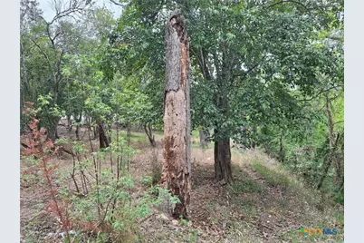 474 N Guenther Avenue, New Braunfels, TX 78130 - Photo 13