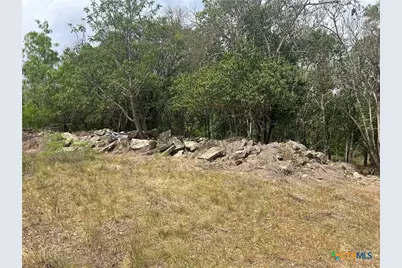 474 N Guenther Avenue, New Braunfels, TX 78130 - Photo 25