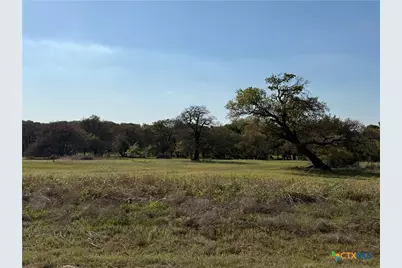 118 Guadalupe Drive, Oglesby, TX 76561 - Photo 9