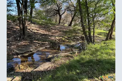 118 Guadalupe Drive, Oglesby, TX 76561 - Photo 15