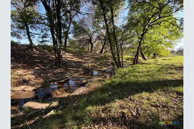 118 Guadalupe Drive, Oglesby, TX 76561 - Photo 23