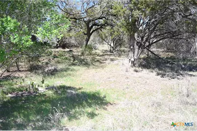 1361 Hidden Valley Drive, Spring Branch, TX 78070 - Photo 3