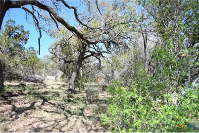 1361 Hidden Valley Drive, Spring Branch, TX 78070 - Photo 1