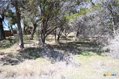 1361 Hidden Valley Drive, Spring Branch, TX 78070 - Photo 9
