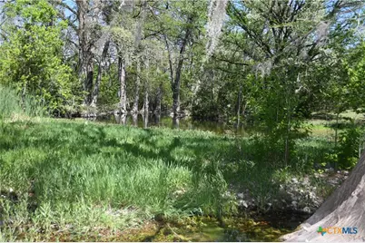 1361 Hidden Valley Drive, Spring Branch, TX 78070 - Photo 11
