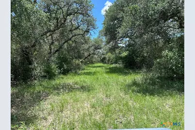 1022 County Road 438, Yoakum, TX 77995 - Photo 11