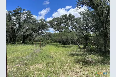 1022 County Road 438, Yoakum, TX 77995 - Photo 7