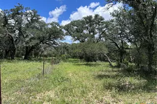 1022 County Rd 438, Yoakum, TX 77995 - Photo 7