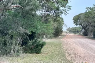 1022 County Rd 438, Yoakum, TX 77995 - Photo 15