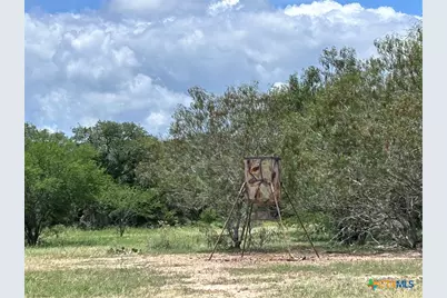 1022 County Road 438, Yoakum, TX 77995 - Photo 17