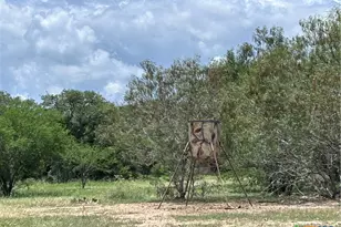 1022 County Rd 438, Yoakum, TX 77995 - Photo 17