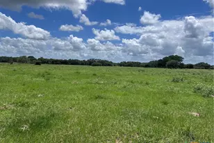 1022 County Rd 438, Yoakum, TX 77995 - Photo 23