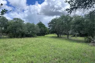 1022 County Rd 438, Yoakum, TX 77995 - Photo 3