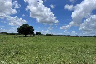1022 County Rd 438, Yoakum, TX 77995 - Photo 29