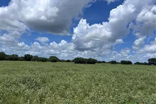 1022 County Rd 438, Yoakum, TX 77995 - Photo 27