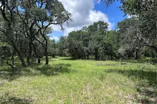 1022 County Rd 438, Yoakum, TX 77995 - Photo 15
