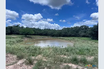 1022 County Road 438, Yoakum, TX 77995 - Photo 5