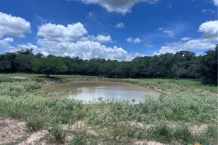 1022 County Rd 438, Yoakum, TX 77995 - Photo 5
