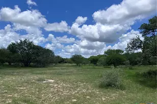 1022 County Rd 438, Yoakum, TX 77995 - Photo 13