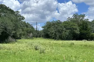 1022 County Rd 438, Yoakum, TX 77995 - Photo 9