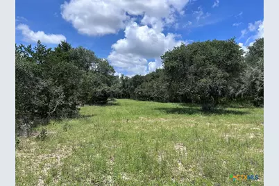 1022 County Road 438, Yoakum, TX 77995 - Photo 21