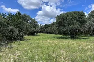 1022 County Rd 438, Yoakum, TX 77995 - Photo 21
