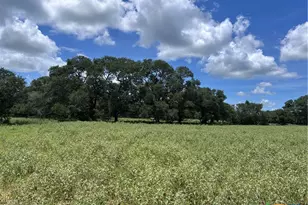 1022 County Rd 438, Yoakum, TX 77995 - Photo 25