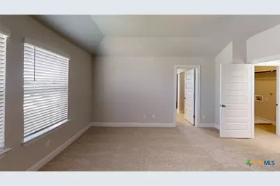 116 Hidden Branch Cove, San Marcos, TX 78657 - Photo 21