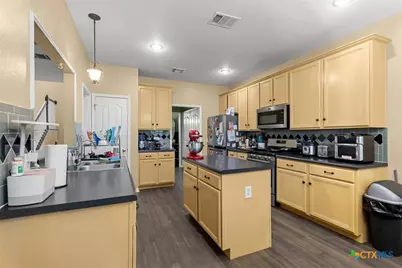 310 N Carriage Hills Drive, Georgetown, TX 78626 - Photo 11