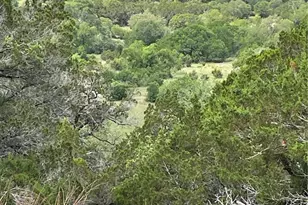 22167 FM306, Canyon Lake, TX 78133 - Photo 15