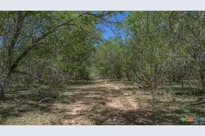 Tbd Fm 477, Seguin, TX 78155 - Photo 9