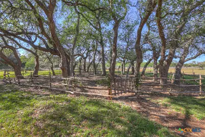 243 Appalachian Trail, New Braunfels, TX 78132 - Photo 45