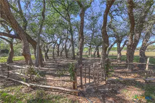 243 Appalachian Trail, New Braunfels, TX 78132 - Photo 41