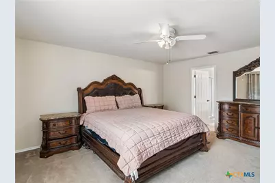 235 Roadrunner Avenue, New Braunfels, TX 78130 - Photo 21