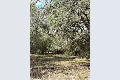 00 Dentler Road, Meyersville, TX 77974 - Photo 7