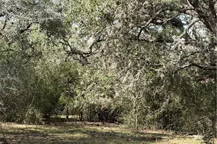 00 Dentler Rd, Meyersville, TX 77974 - Photo 7