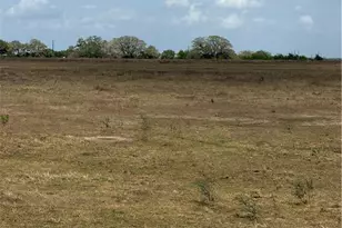 00 Dentler Rd, Meyersville, TX 77974 - Photo 5